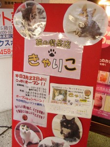 猫とくつろげる喫茶店ｊきゃりこ