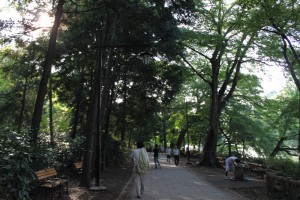 ９月の井の頭公園・遊歩道