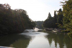 ９月の井の頭公園・噴水