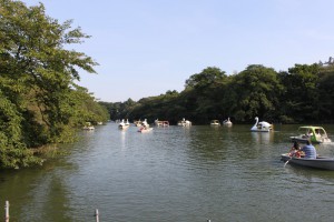 ９月の井の頭公園・池