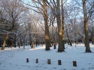 雪の日の朝の井の頭公園