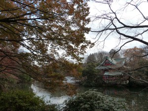 井の頭公園の紅葉2013