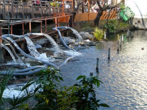 かい掘りの水が出ているボート池