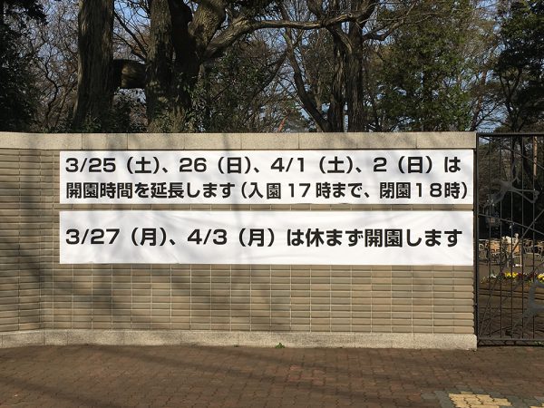 2017年3月と4月の井の頭公園予定