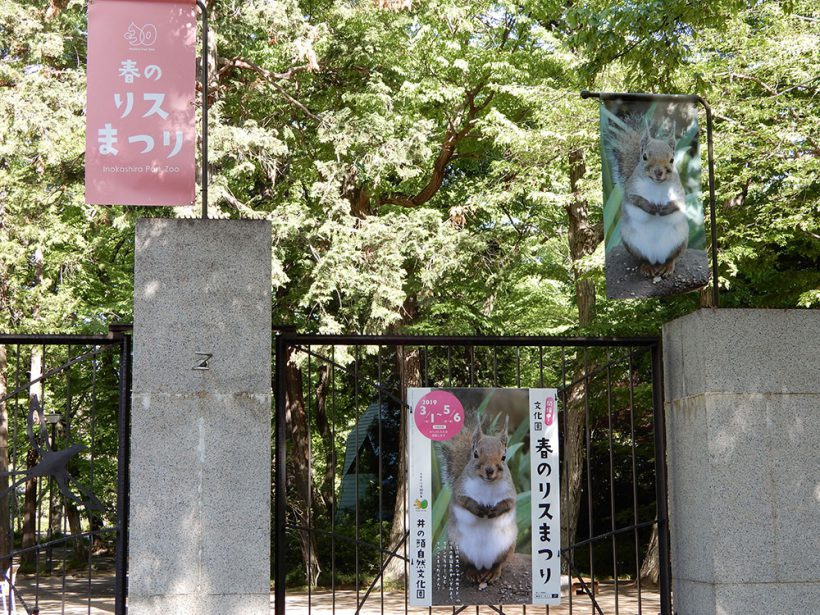 2019年4月の井の頭動物園