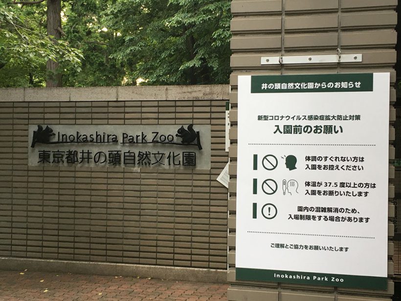 2020年6月5日の井の頭自然文化園