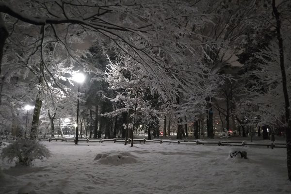 2022年1月7日の井の頭公園