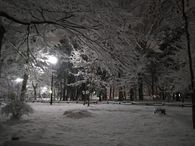 2022年1月7日の井の頭公園