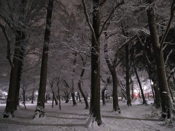 2022年1月7日の井の頭公園