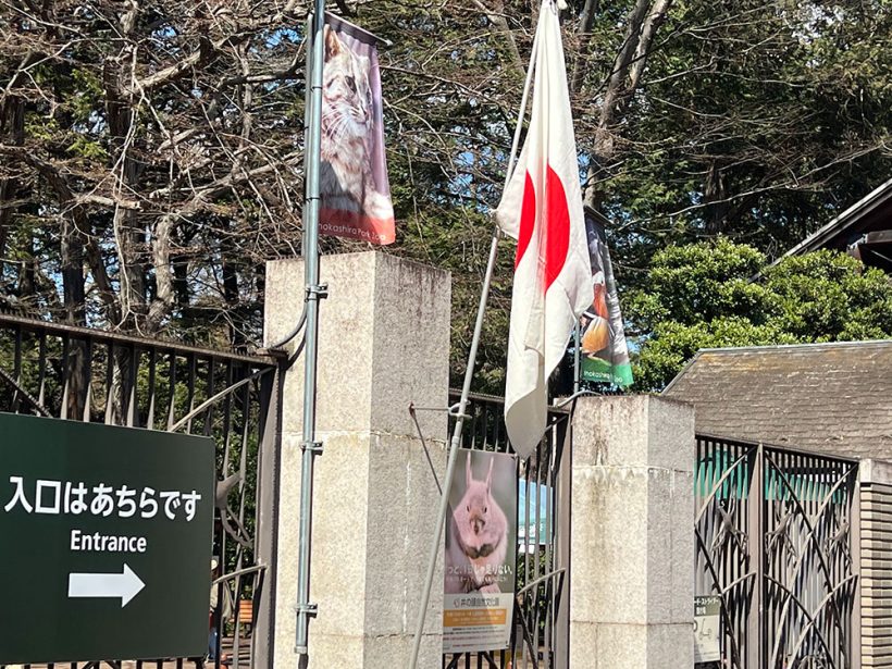 2025年3月20日の井の頭動物園